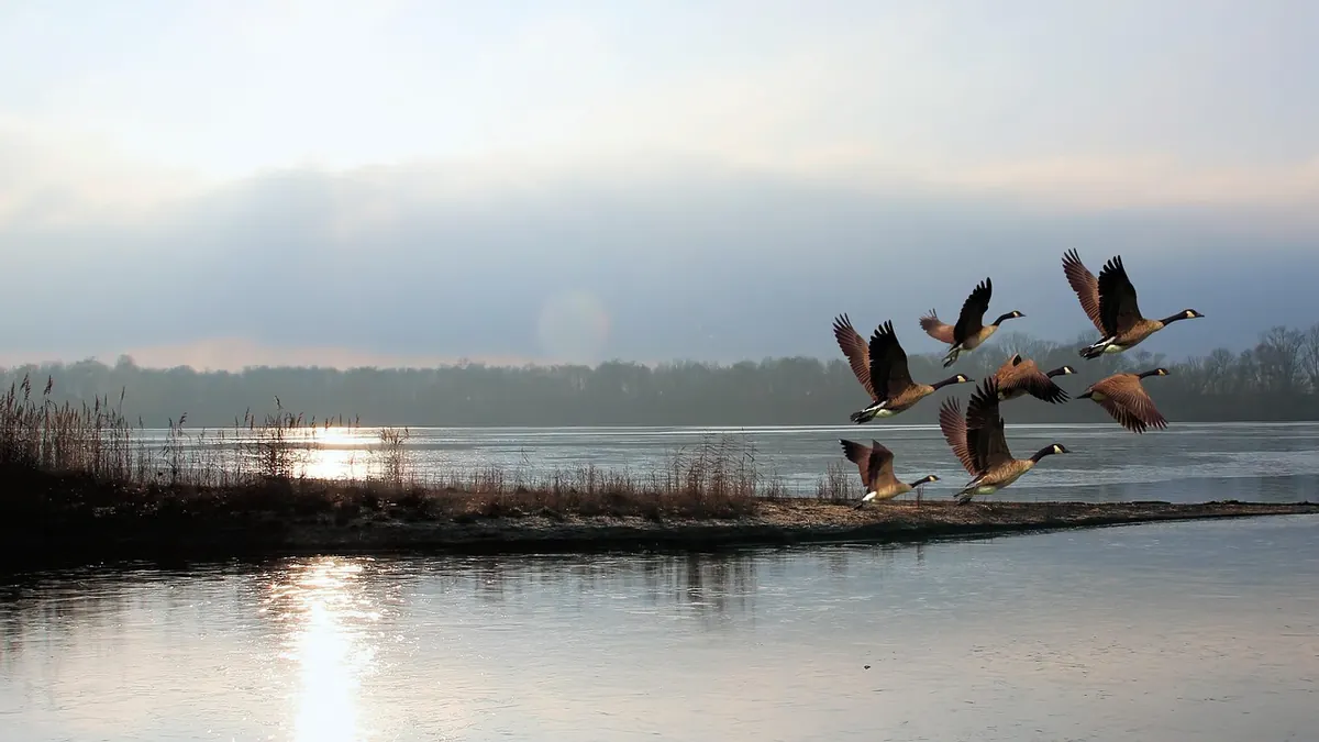 Rewilding the Fens: What to Look For Month by Month